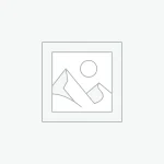 Cleaning Service